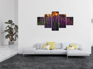Obraz květů vlčího bobu (125x70 cm)