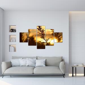Obraz - Slunce zapadající za stromy (125x70 cm)