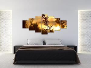 Obraz - Slunce zapadající za stromy (210x100 cm)