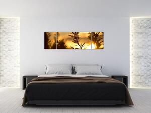 Obraz - Slunce zapadající za stromy (170x50 cm)