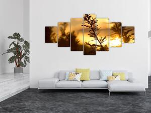 Obraz - Slunce zapadající za stromy (210x100 cm)
