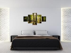 Obraz snového lesa (125x70 cm)