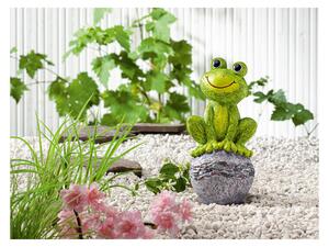 LIVARNO home Zahradní trpaslík / Zahradní figurka (žába) (100371901001)