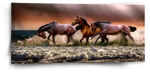 Sablio Obraz Koně ve vodě - 110x50 cm
