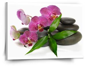 Sablio Obraz Orchideje a kameny - 150x110 cm