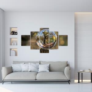 Obraz - Odraz ve skleněné kouli (125x70 cm)
