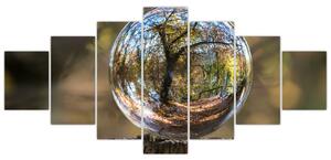 Obraz - Odraz ve skleněné kouli (210x100 cm)