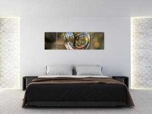Obraz - Odraz ve skleněné kouli (170x50 cm)