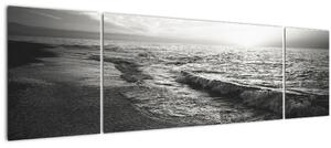 Obraz - Na břehu moře (170x50 cm)