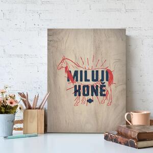 Sablio Dárková cedulka Miluji koně: 30x40 cm