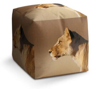 Sablio Taburet Cube Lvice 2 - 40x40x40 cm