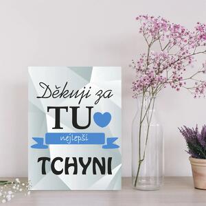 Sablio Dárková cedulka Děkuji za tu nejlepší tchyni: 30x40 cm