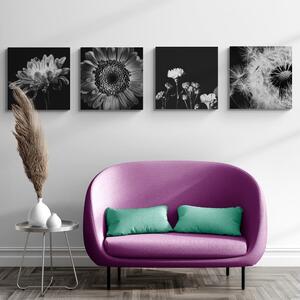 Set obrazů černobílé něžné květiny