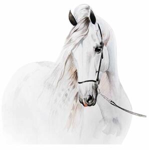 Dětská nálepka na zeď Bílý akvarelový kůň Rozměry: 100 x 100 cm