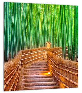 Obraz - Japonský bambusový les (30x30 cm)
