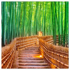Obraz - Japonský bambusový les (30x30 cm)