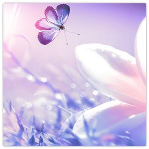 Obraz - Motýl přilítající na květ (30x30 cm)