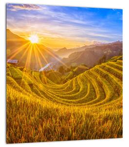 Obraz - Rýžové terasy ve Vietnamu (30x30 cm)