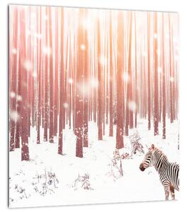 Obraz - Zebra v zasněženém lese (30x30 cm)