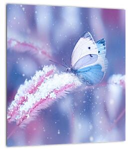 Obraz - Motýli v zimě (30x30 cm)