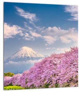 Obraz - Japonská jarní krajina (30x30 cm)