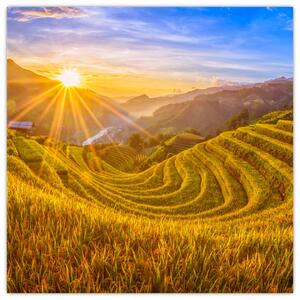 Obraz - Rýžové terasy ve Vietnamu (30x30 cm)