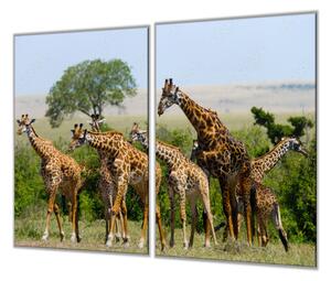 Ochranná deska stádo žiraf - 40x60cm / S lepením na zeď