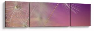 Obraz štěstíčka (170x50 cm)