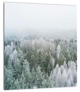 Obraz - Zasněžené vrcholky lesů (30x30 cm)