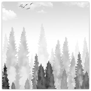 Obraz - Vrcholky lesů (30x30 cm)