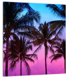 Obraz - Palmy v Miami (30x30 cm)