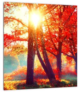 Obraz - Podzimní krajina (30x30 cm)