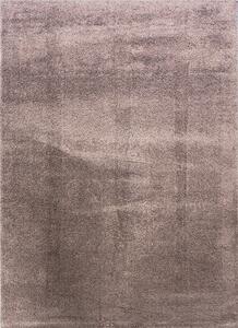 BE Koberec Microsofty 8301 BROWN - hnědý obdélníkový Rozměr: 80x150 cm