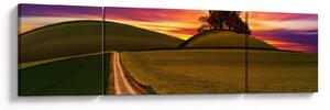 Obraz pole se západem slunce (170x50 cm)