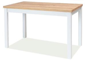 Stůl Adam 100x60 dub zlatý craft / bílý mat