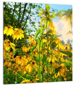 Obraz žlutých květin (30x30 cm)
