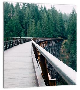 Obraz - Most k vrcholkům stromů (30x30 cm)