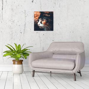 Obraz - Pohled kočky (30x30 cm)