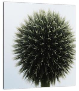 Obraz květinové koule (30x30 cm)