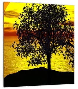 Obraz siluety stromu (30x30 cm)