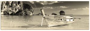 Obraz na plátně - Člun u břehu - panoráma. 5910FA (105x35 cm)