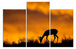 Obraz na plátně - Antilopa skákavá silueta 1913C (90x60 cm)