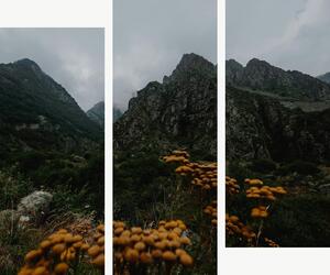 Mlhavé horské údolí s divokými květy – Třídílný obraz C, 120 × 100 cm