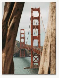 Golden Gate Bridge mezi kmeny stromů – Jednodílný obraz, 30 × 40 cm