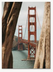 Golden Gate Bridge mezi kmeny stromů – Jednodílný obraz, 50 × 70 cm