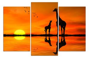 Obraz na plátně - Žirafy silueta 1919C (150x100 cm)