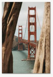 Golden Gate Bridge mezi kmeny stromů – Jednodílný obraz, 40 × 60 cm
