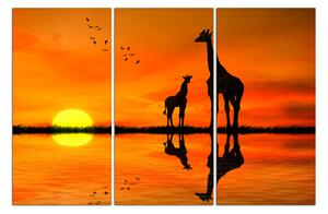 Obraz na plátně - Žirafy silueta 1919B (90x60 cm )
