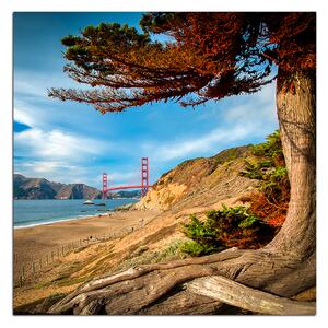Obraz na plátně - Golden Gate Bridge - čtverec 3922A (50x50 cm)