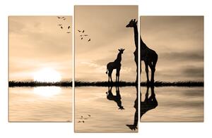Obraz na plátně - Žirafy silueta 1919FC (90x60 cm)